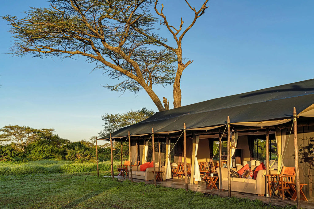 Lemala Ndutu Mobile Tented Camp at Lemala Ndutu Mobile Tented Camp, Ndutu, Tanzania.