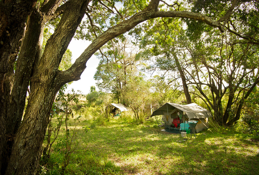 Offbeat Riding Safaris
