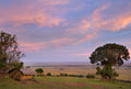 Offbeat Riding Safaris