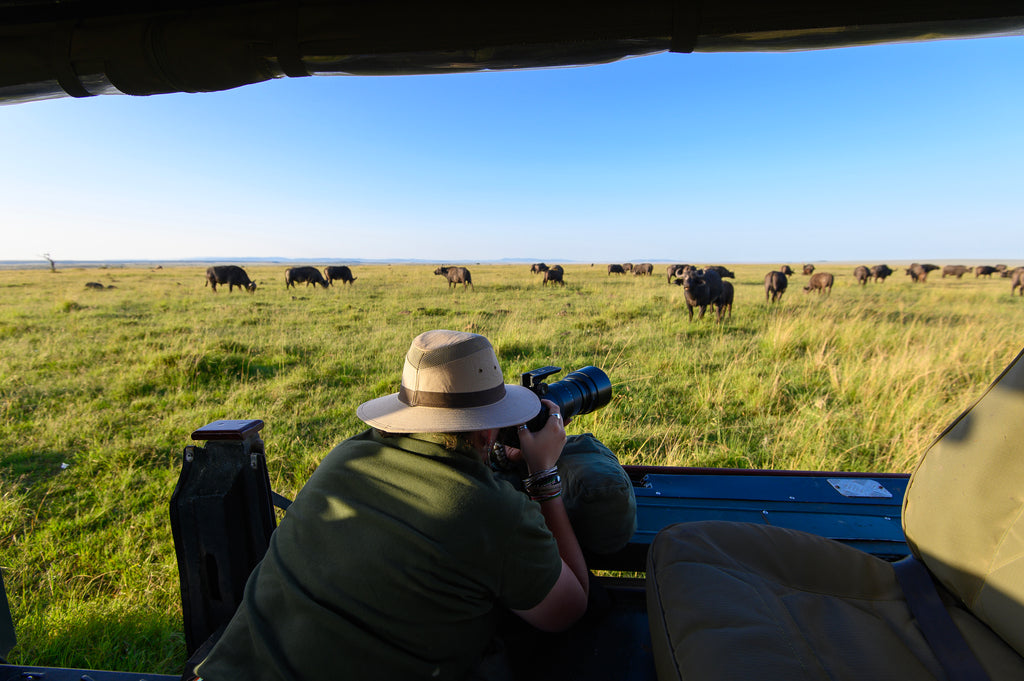 Photography Safaris