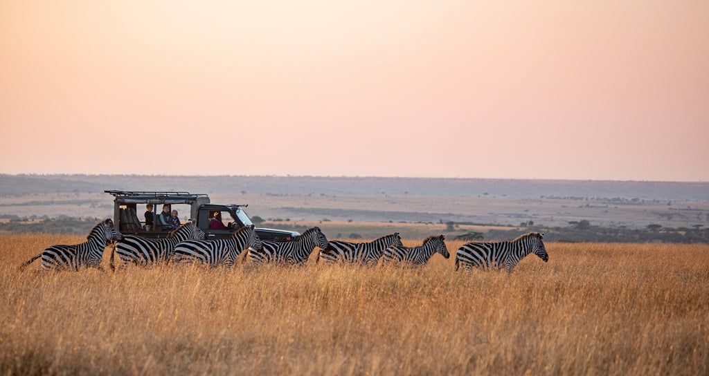 Out on the stunning plains
