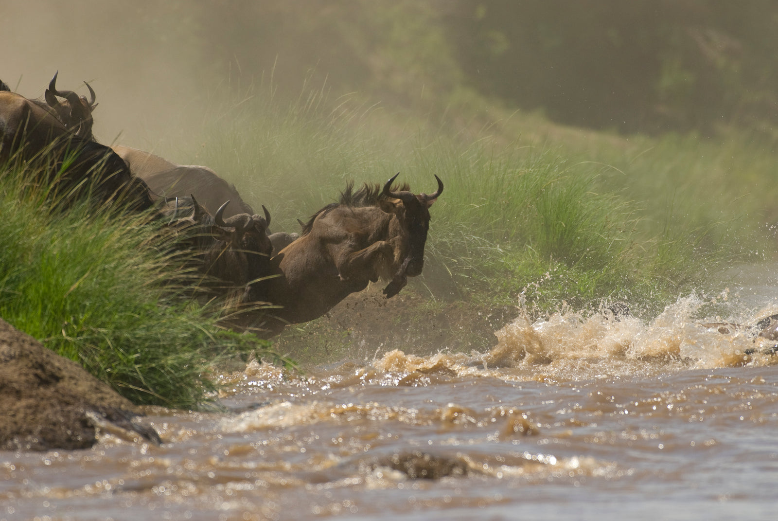 Offbeat Mara Camp