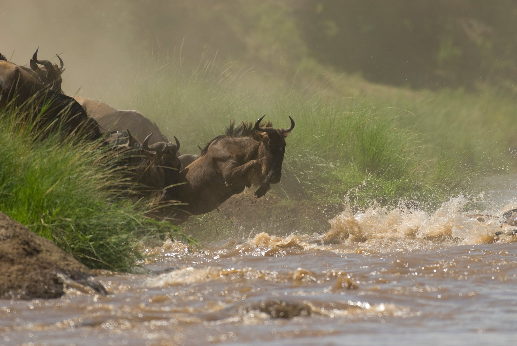 Offbeat Mara - Kenya's famous migration