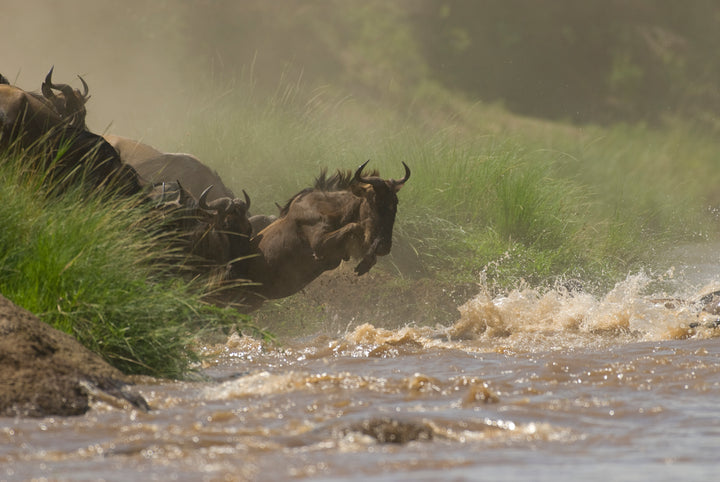 Offbeat Mara Camp