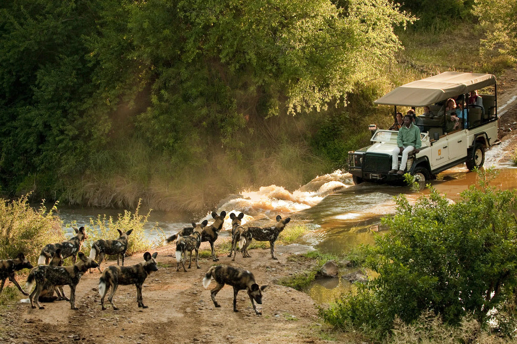 Morukuru Family Madikwe at Morukuru River House, Madikwe Game Reserve, South Africa.