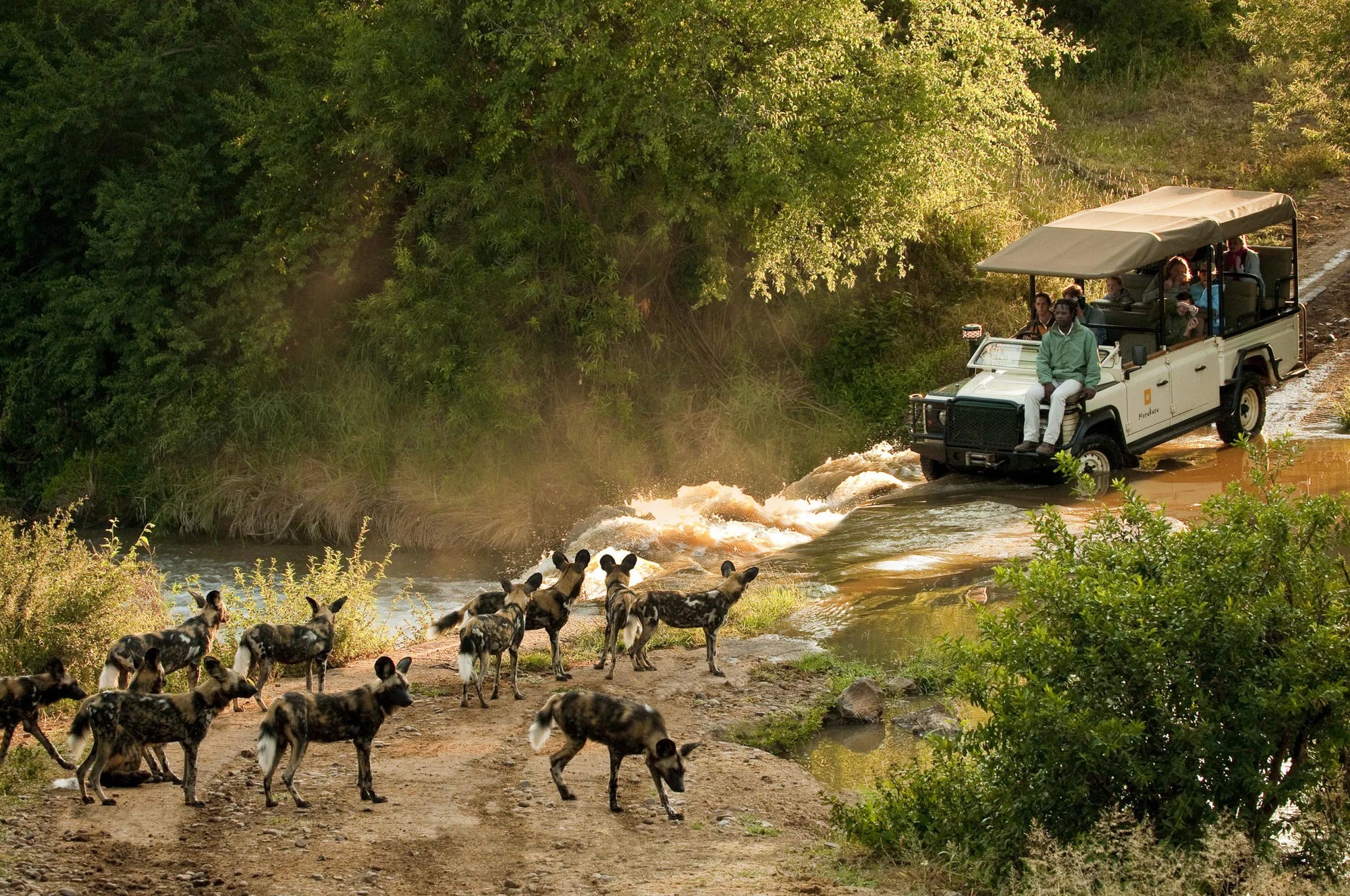 Morukuru Family Madikwe at Morukuru River House, Madikwe Game Reserve, South Africa.