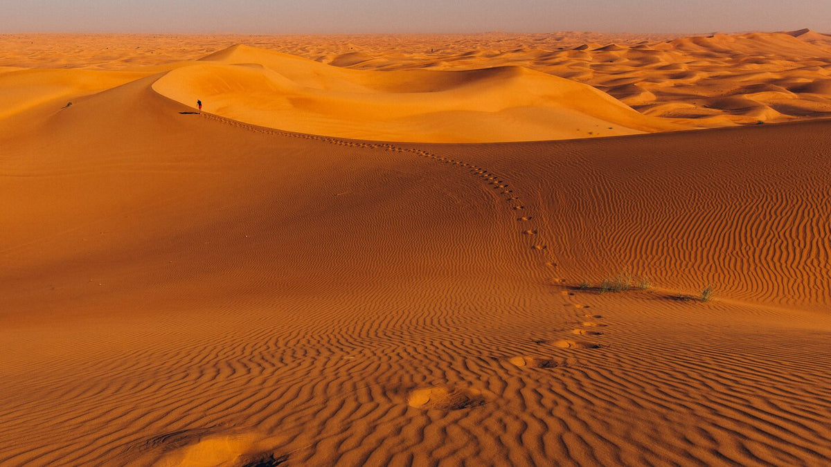 Al Maha Dune Drive