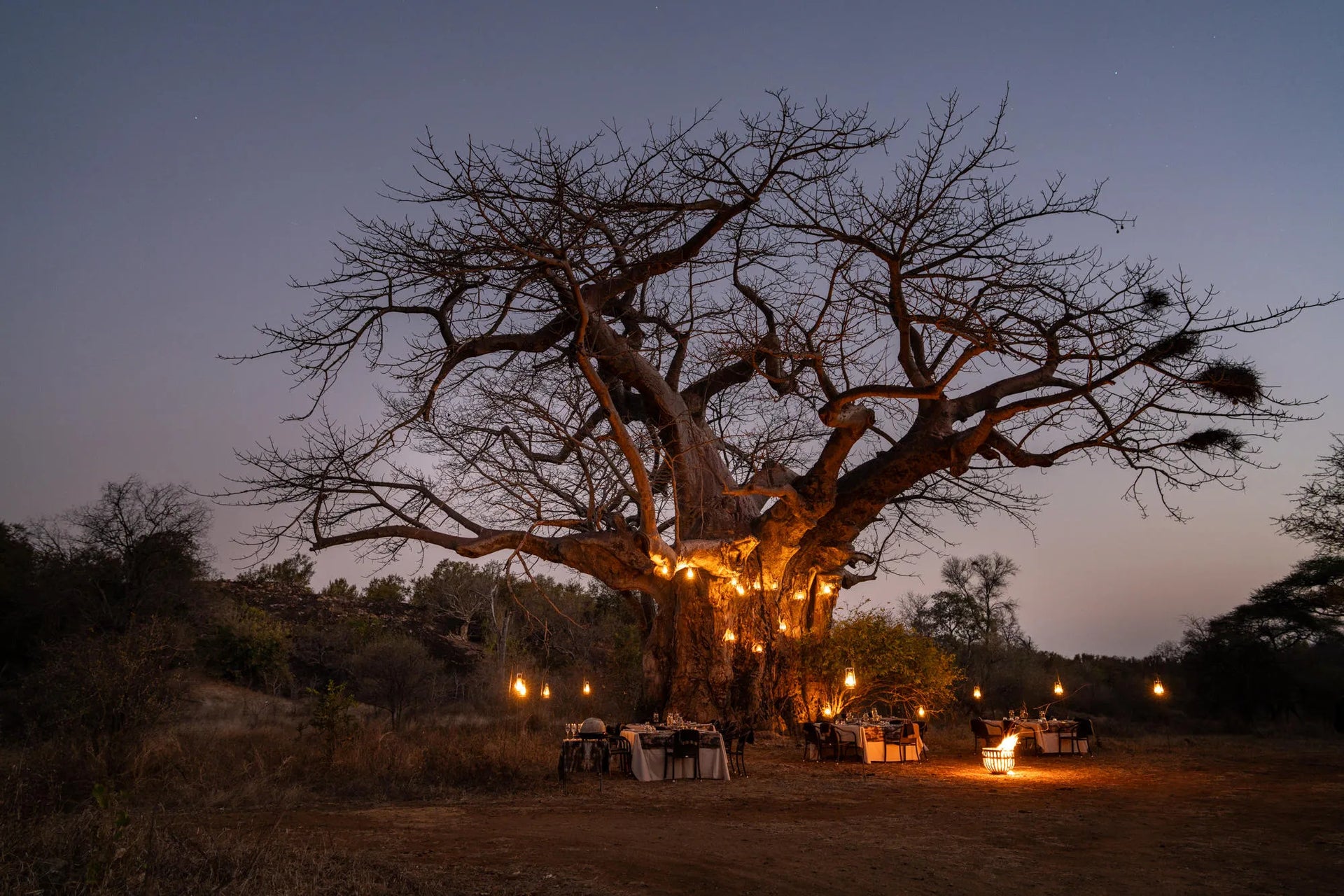 Singita Pamushana Lodge at Singita Pamushana Lodge, Malilangwe Wildlife Reserve, Zimbabwe.