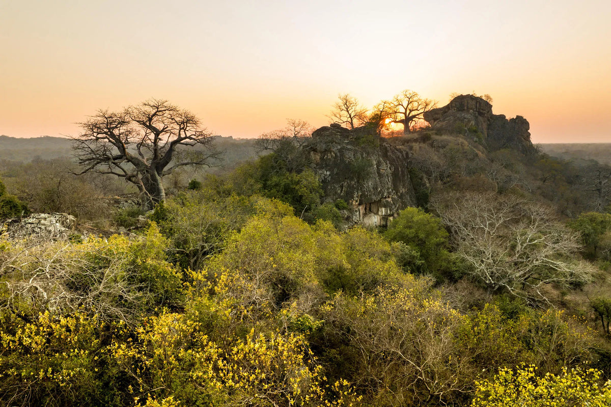 Singita Pamushana Lodge at Singita Pamushana Lodge, Malilangwe Wildlife Reserve, Zimbabwe.