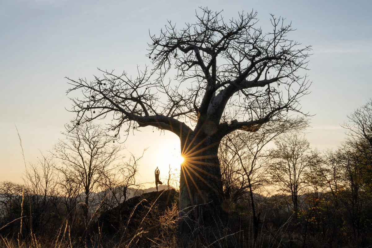 Singita Pamushana Lodge at Singita Pamushana Lodge, Malilangwe Wildlife Reserve, Zimbabwe.