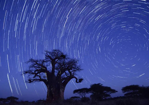 Stargazing