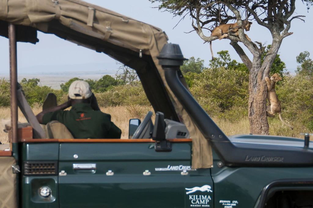 Game drive 4x4 vehicle at Kilima Camp, Mara North Conservancy, Kenya.