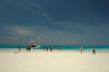 Diani Diving