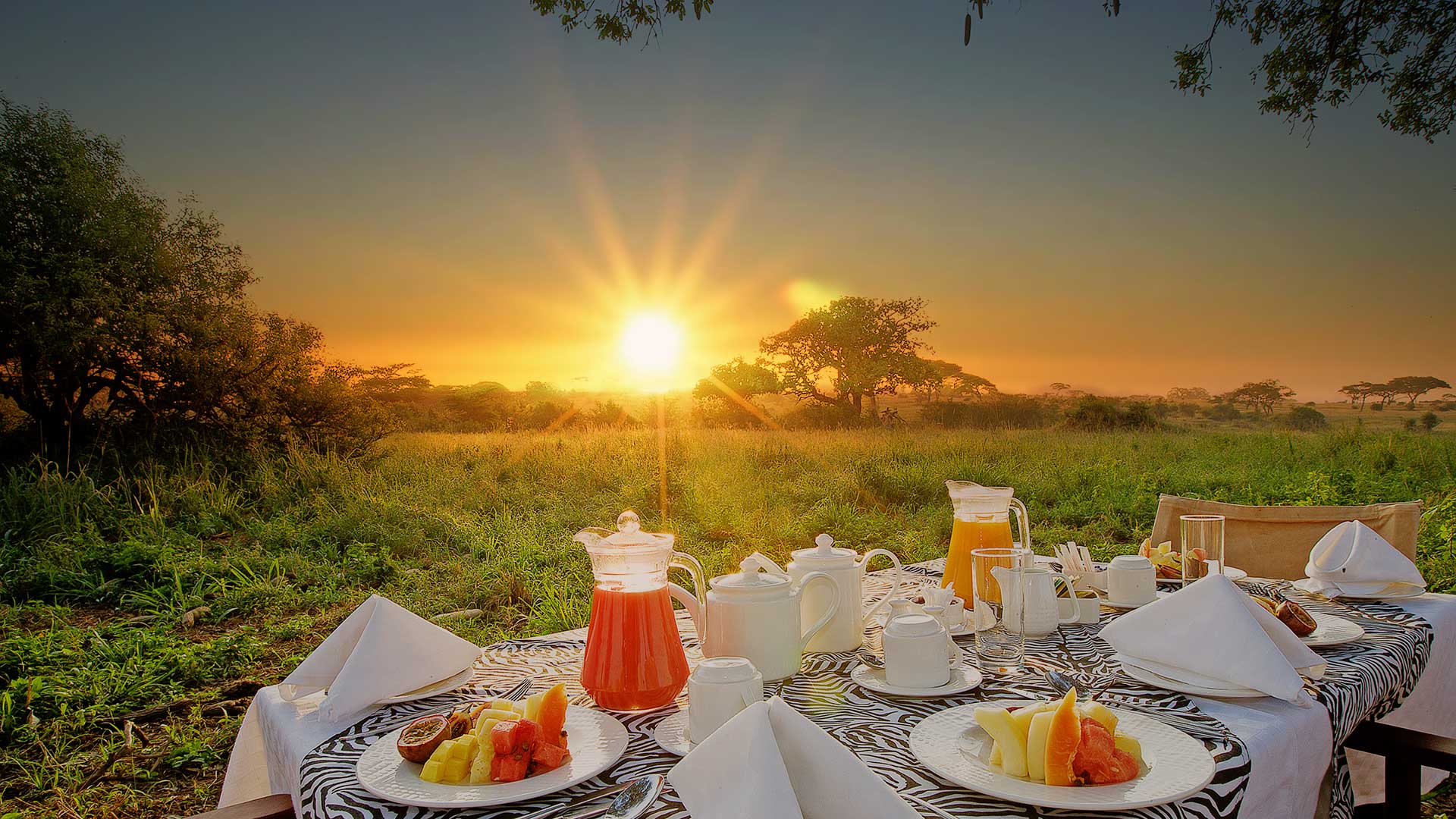 Tarangire Sopa Lodges