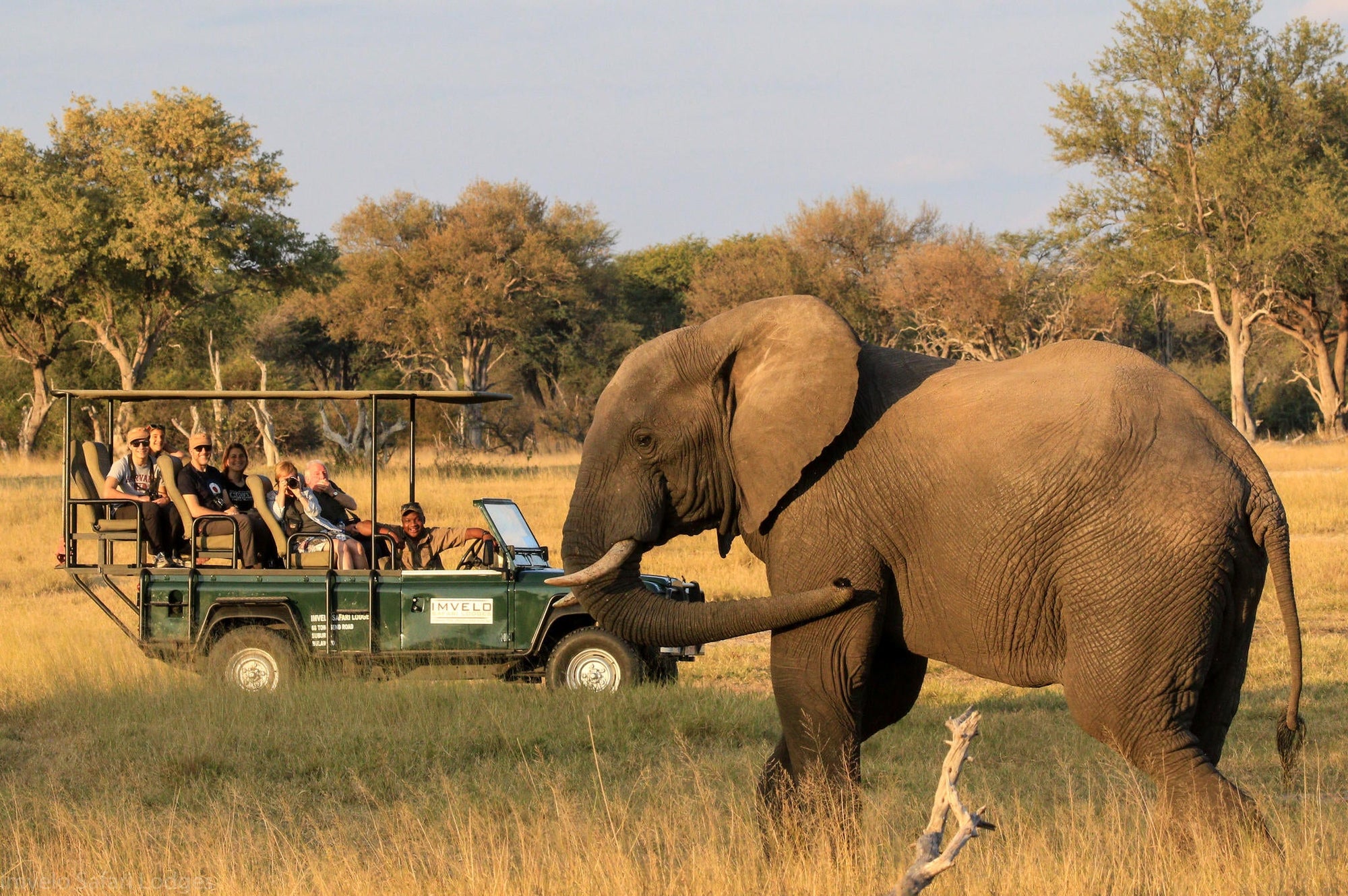 Game Drives gallery image 3