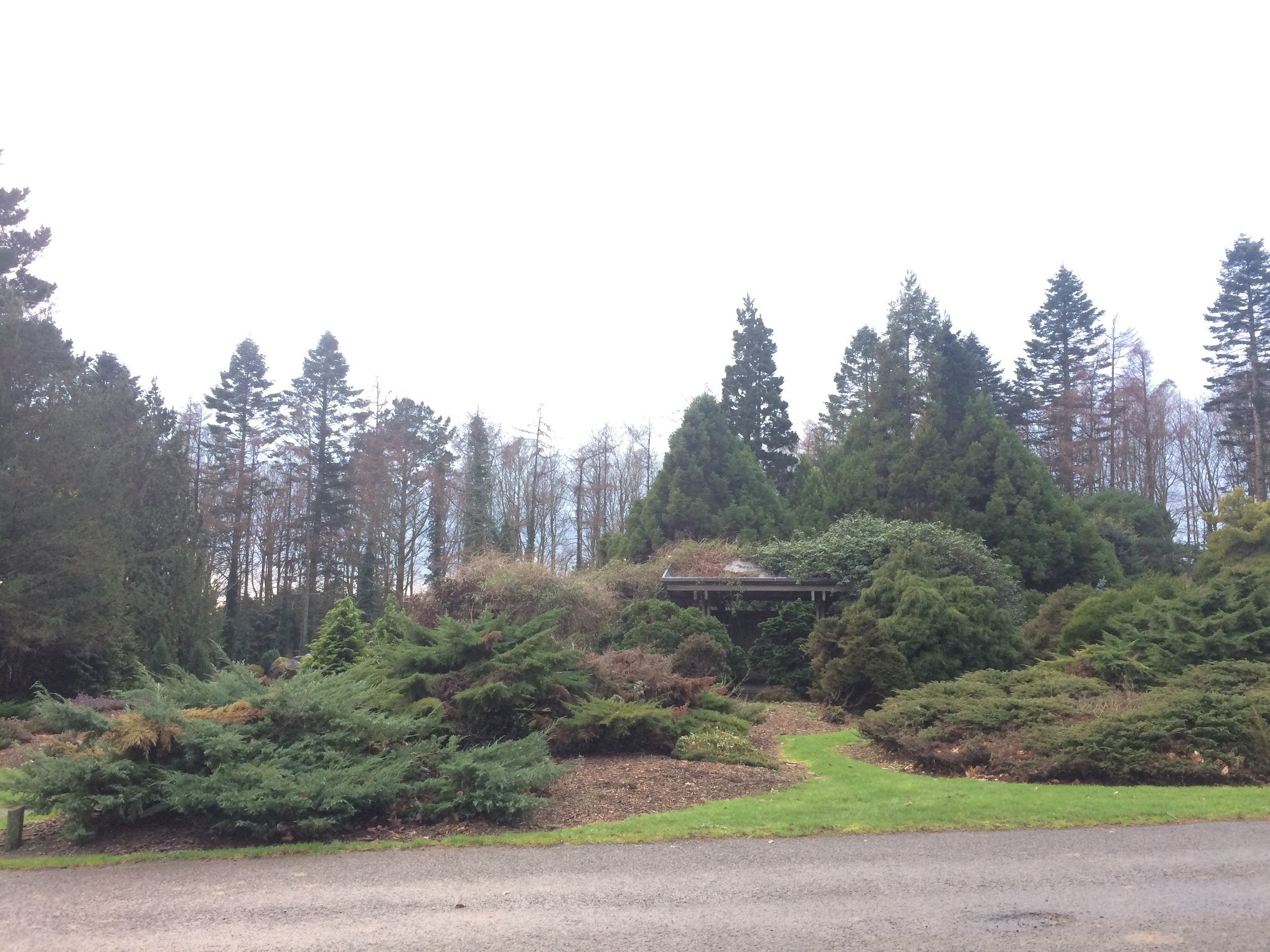 John F Kennedy Arboretum