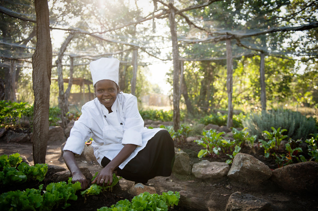 Farm to table