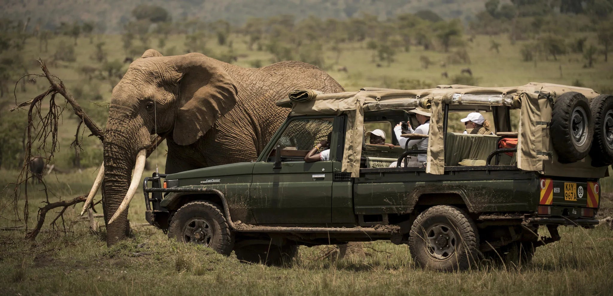 Game Drives