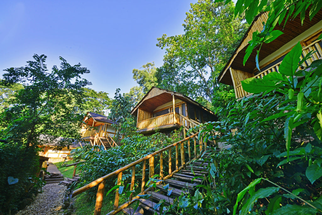 Buhoma Lodge - Rooms