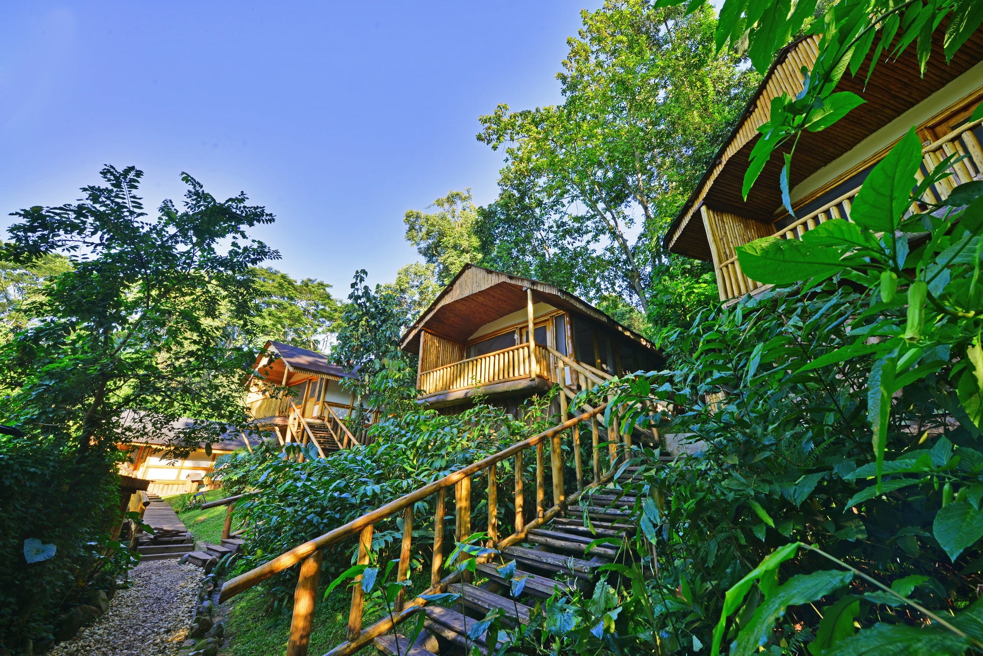 Buhoma Lodge - Rooms