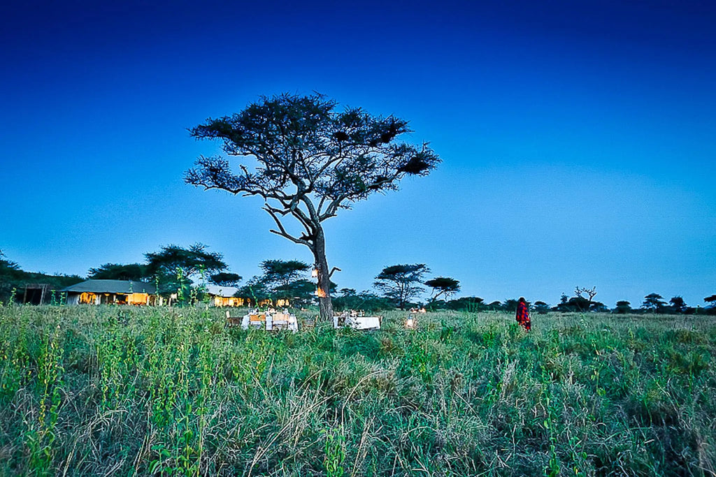 Lemala Ewanjan Tented Camp at Lemala Ewanjan Tented Camp, Central Serengeti, Tanzania.