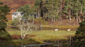 Affric Lodge