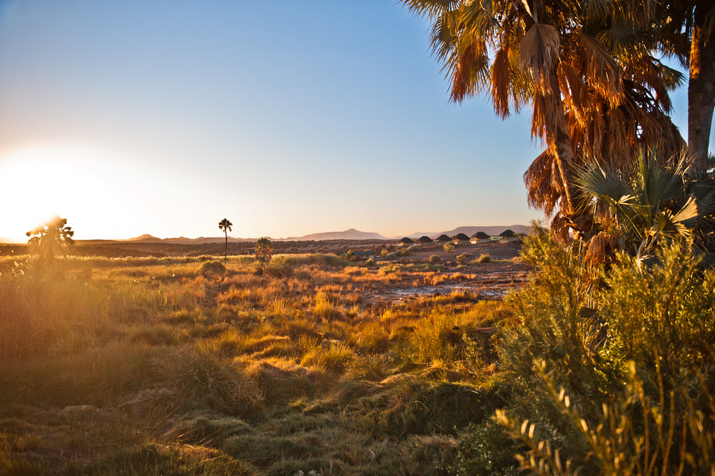 Palmwag Lodge