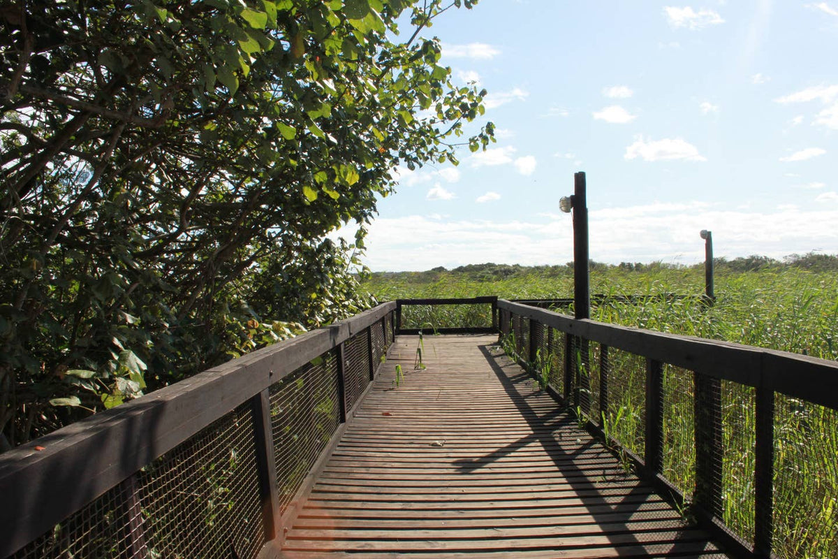 Sea La Vie - Unit 12 The Bridge