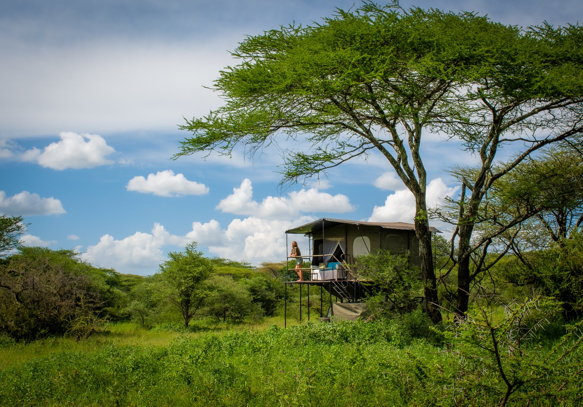 Bush Rover Suites