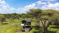 Bush Rover Suites