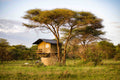 Bush Rover Suites