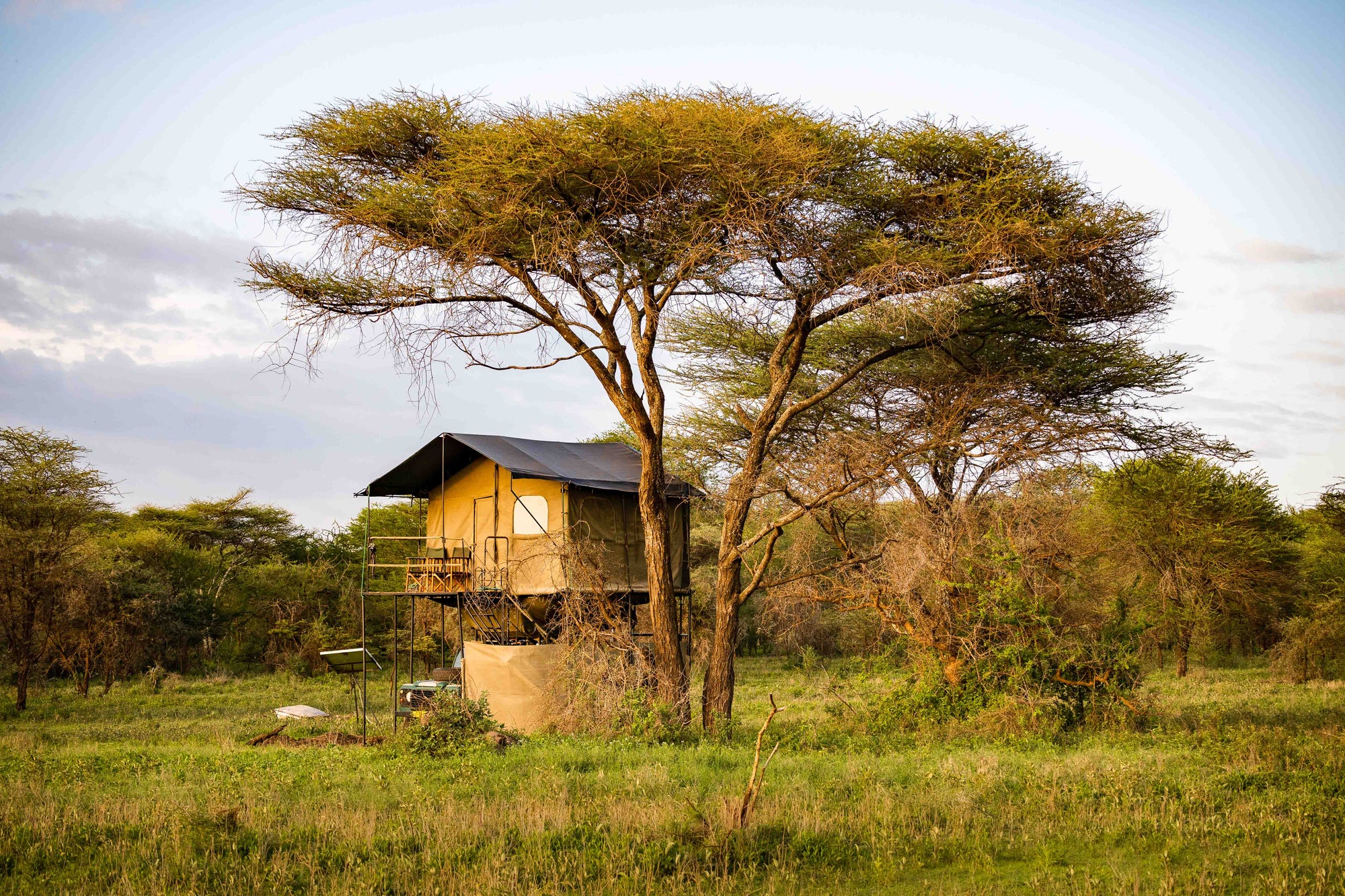 Bush Rover Suites
