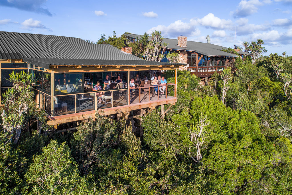 Aerial view of bar area