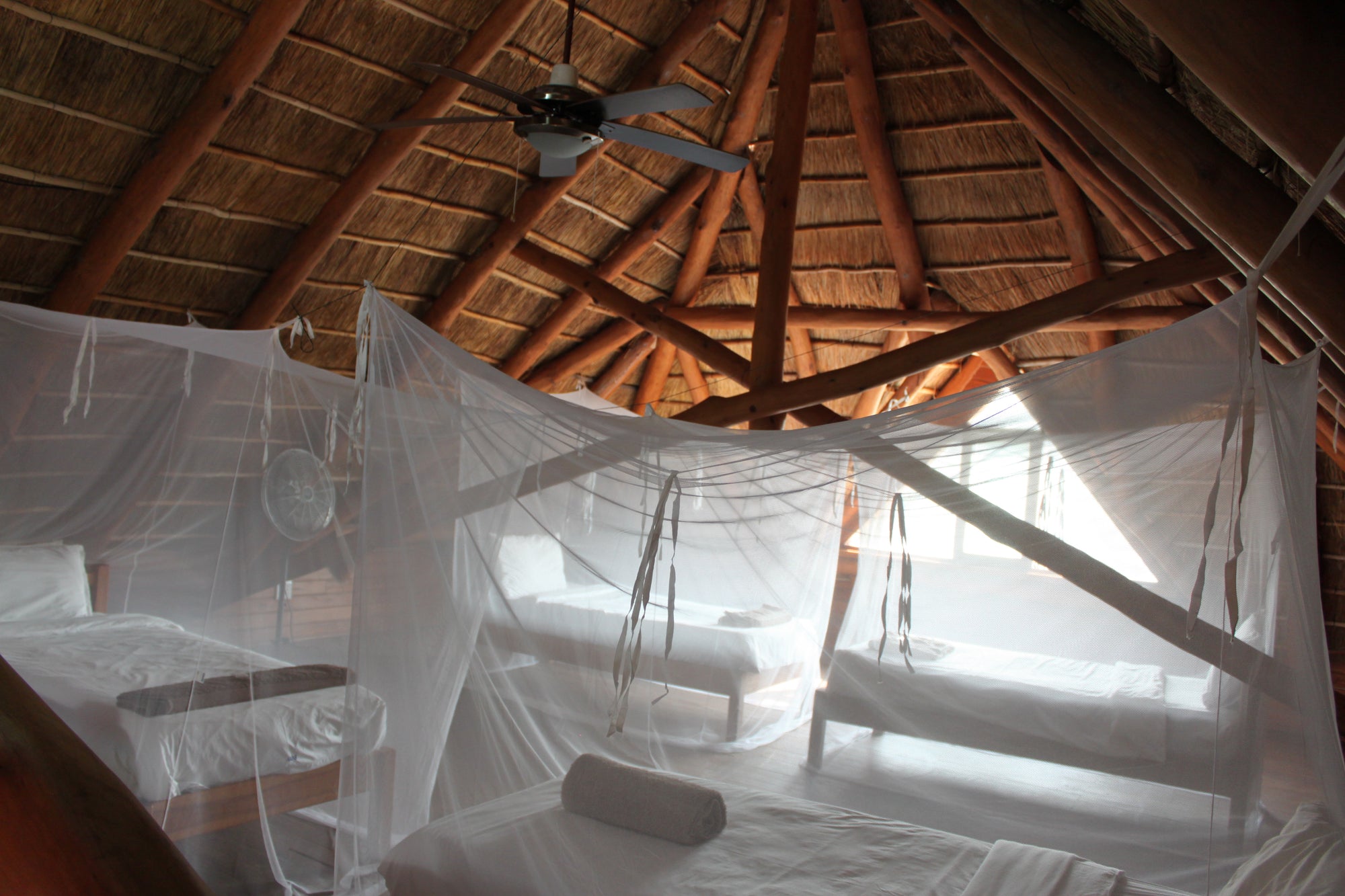 403 - 4 Private rooms and 1 loft room