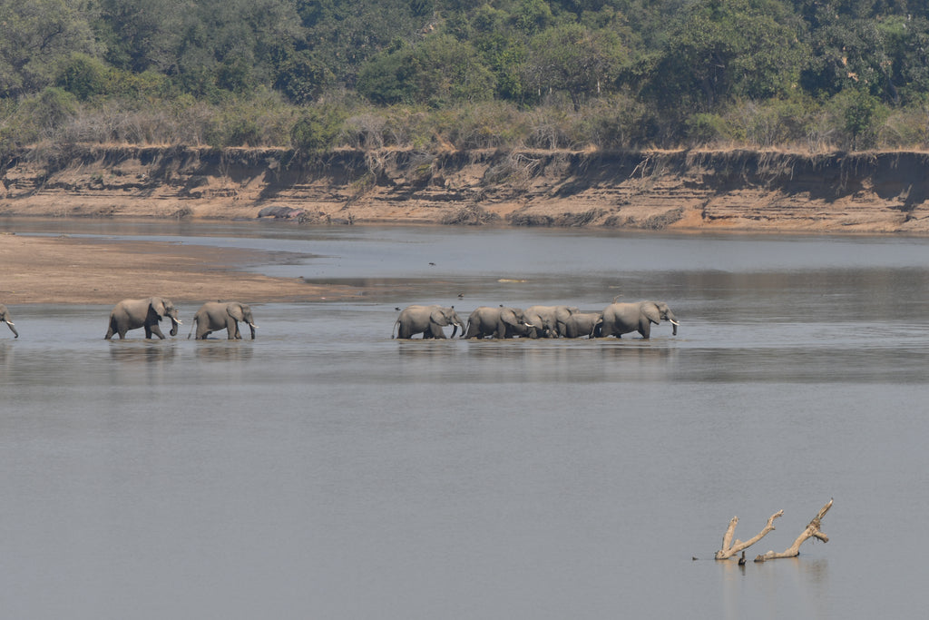 The South Luangwa River