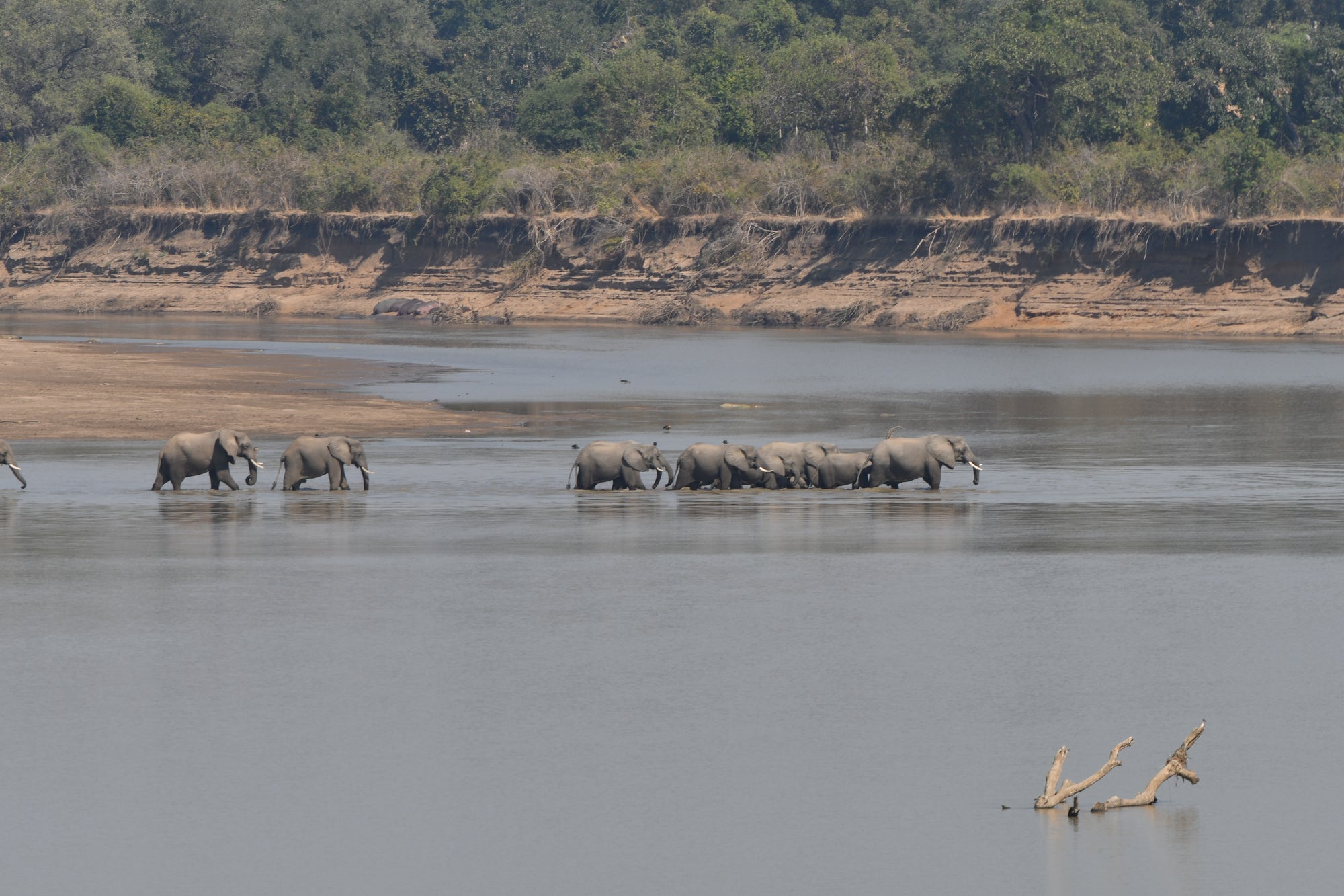 The South Luangwa River