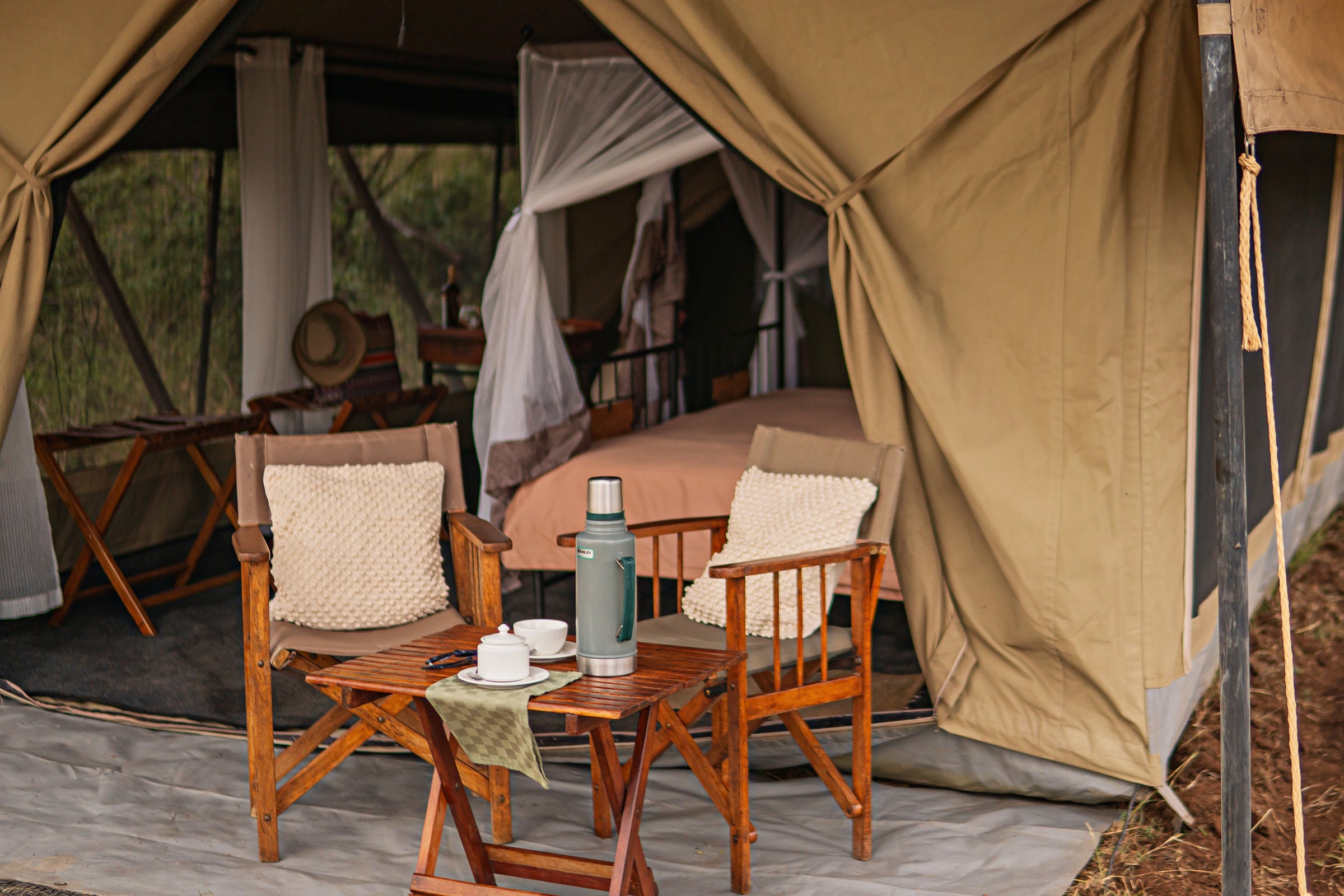 Intimate Camp Zebra