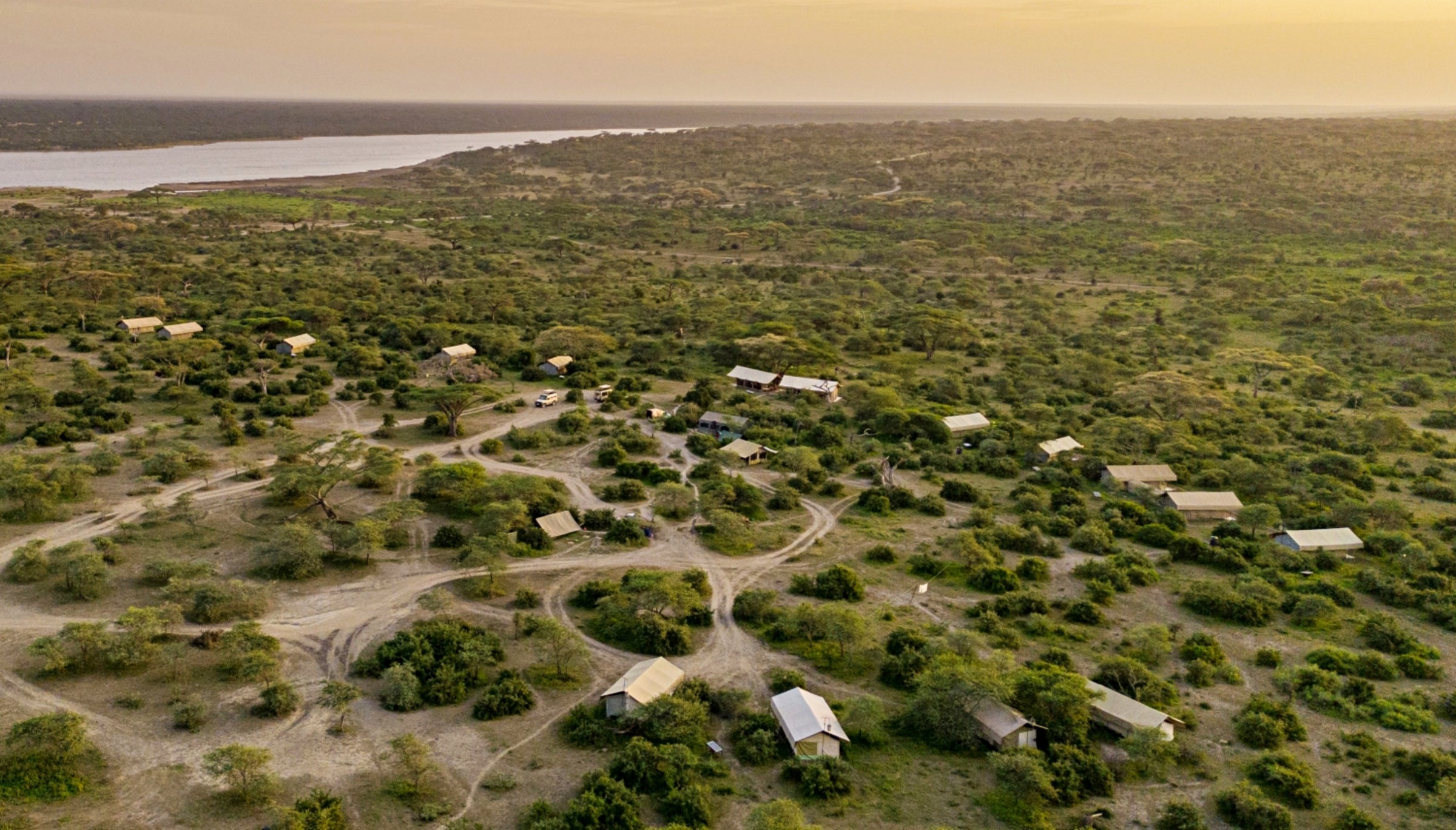 Intimate Camp Zebra - Ndutu