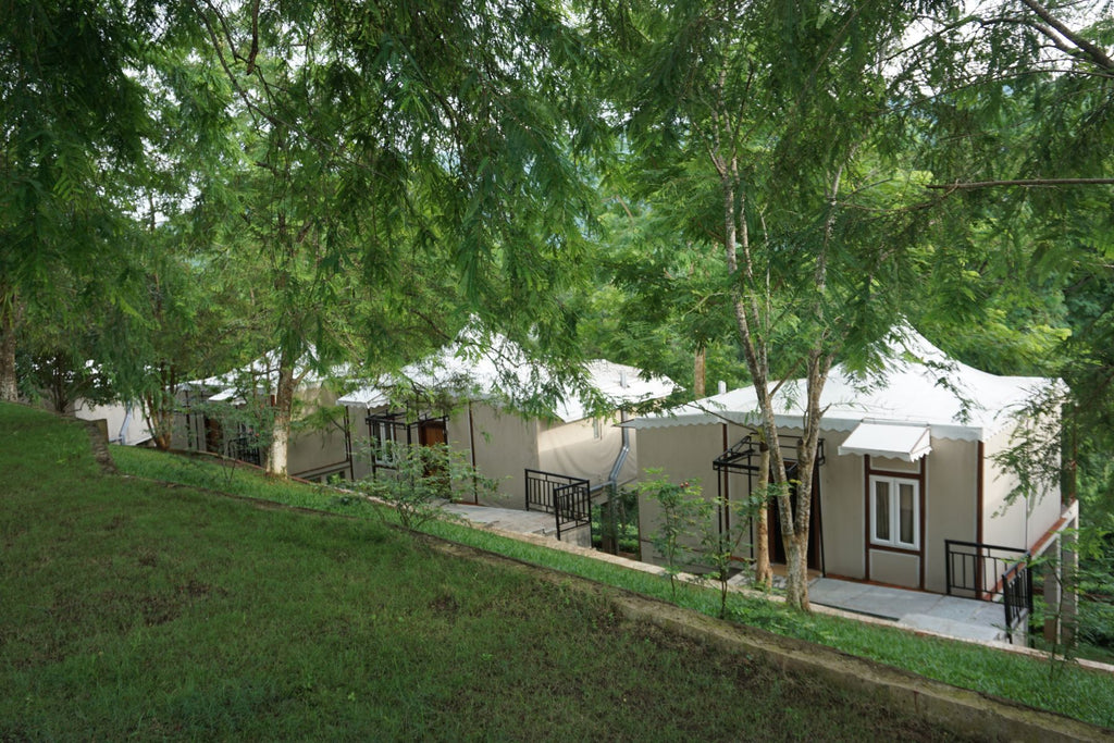 IORA Niltava, Kaziranga