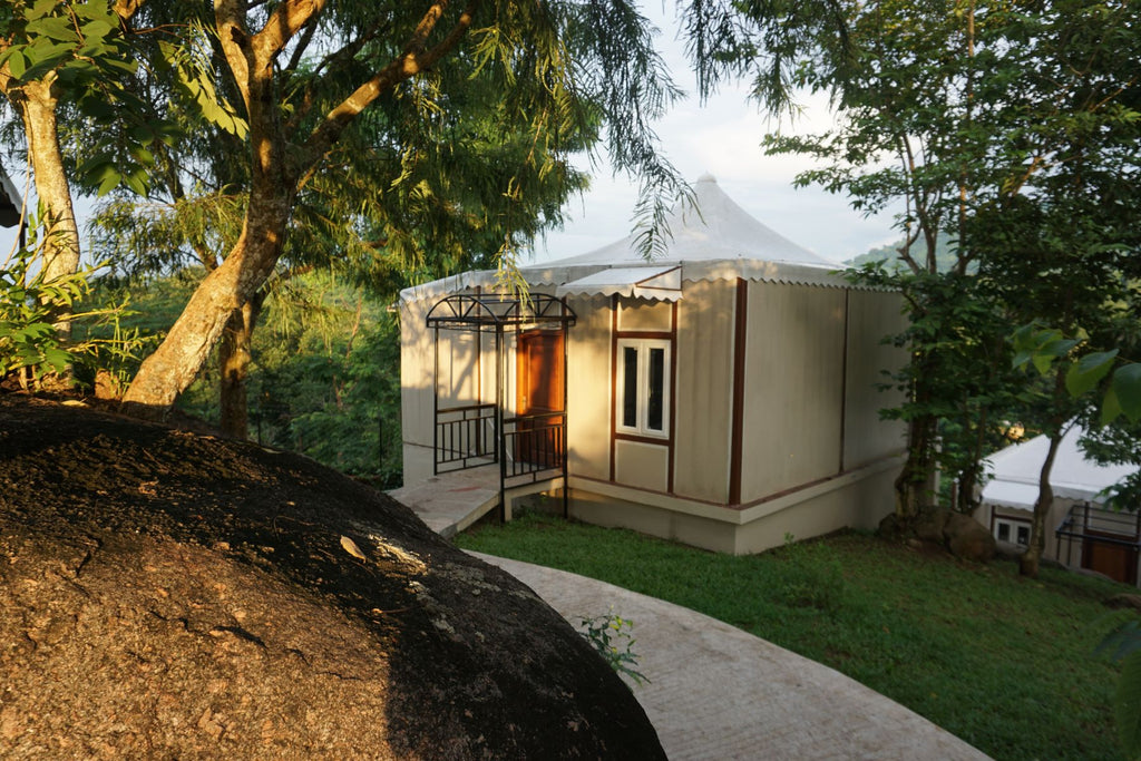 IORA Niltava, Kaziranga