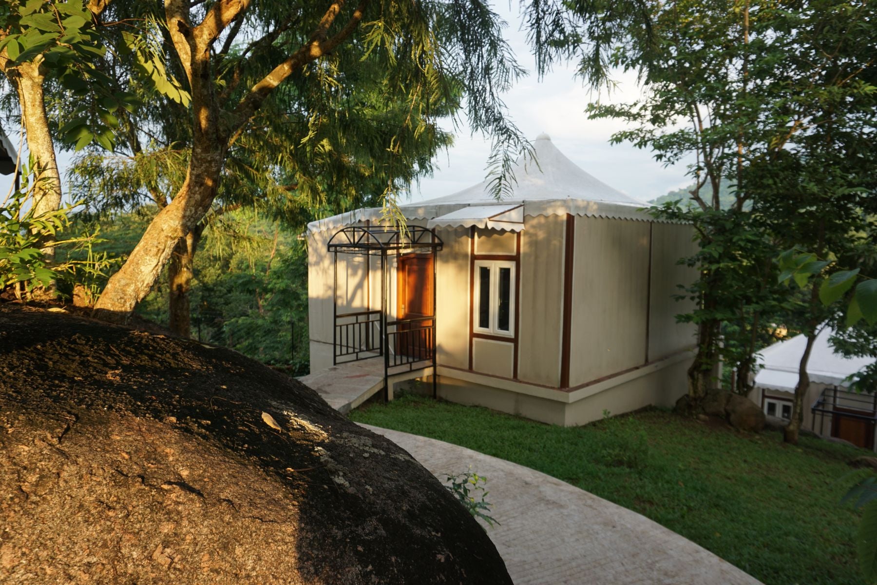 IORA Niltava, Kaziranga