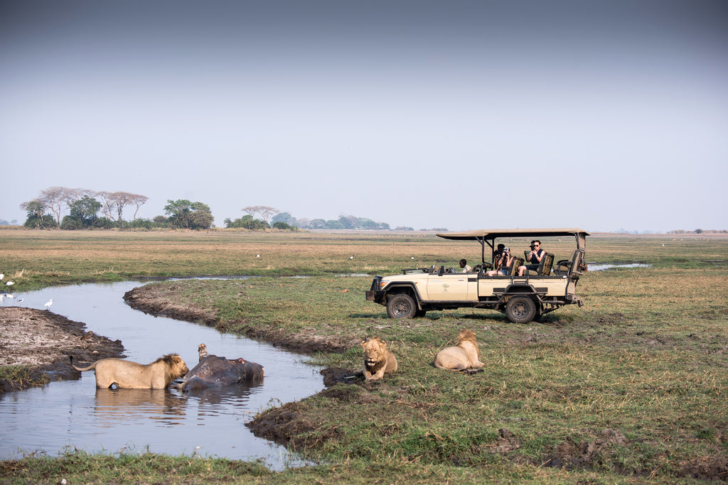 Game Drives in the eVehicle