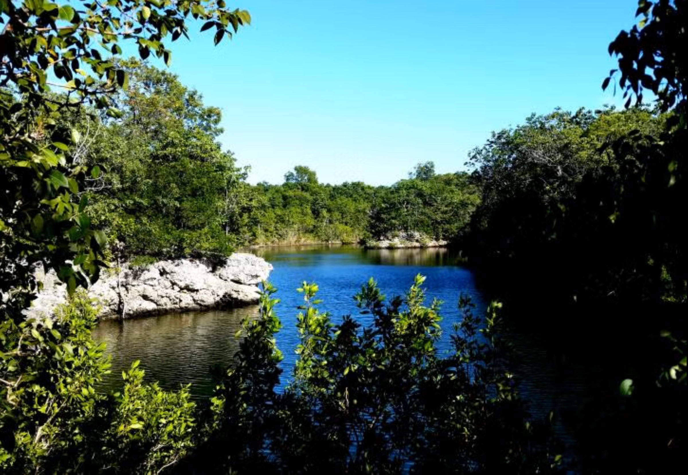 Dagny Johnson Key Largo Hammock Botanical State Park