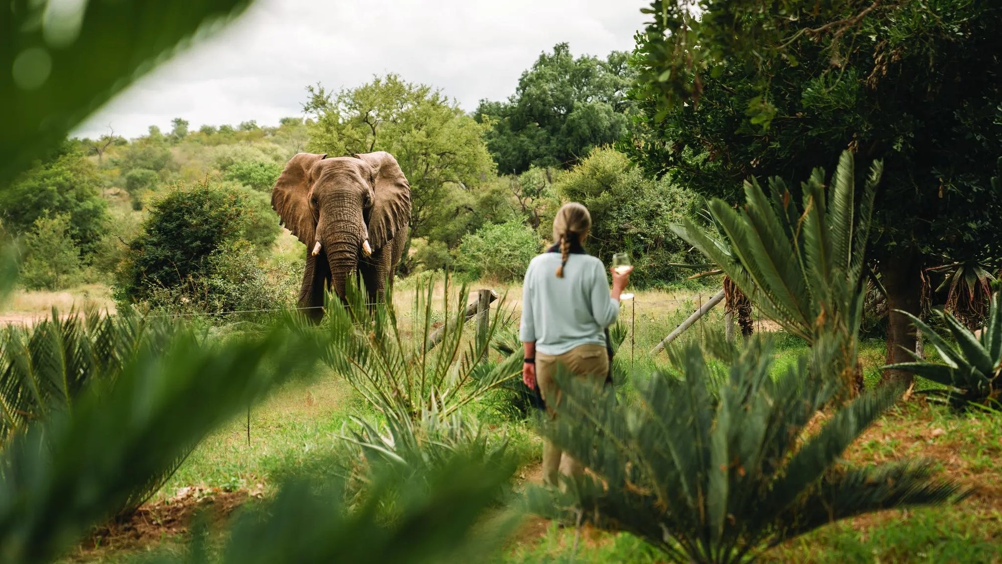 Simbavati Camp George at Simbavati Camp George, Klaserie Private Game Reserve, South Africa.