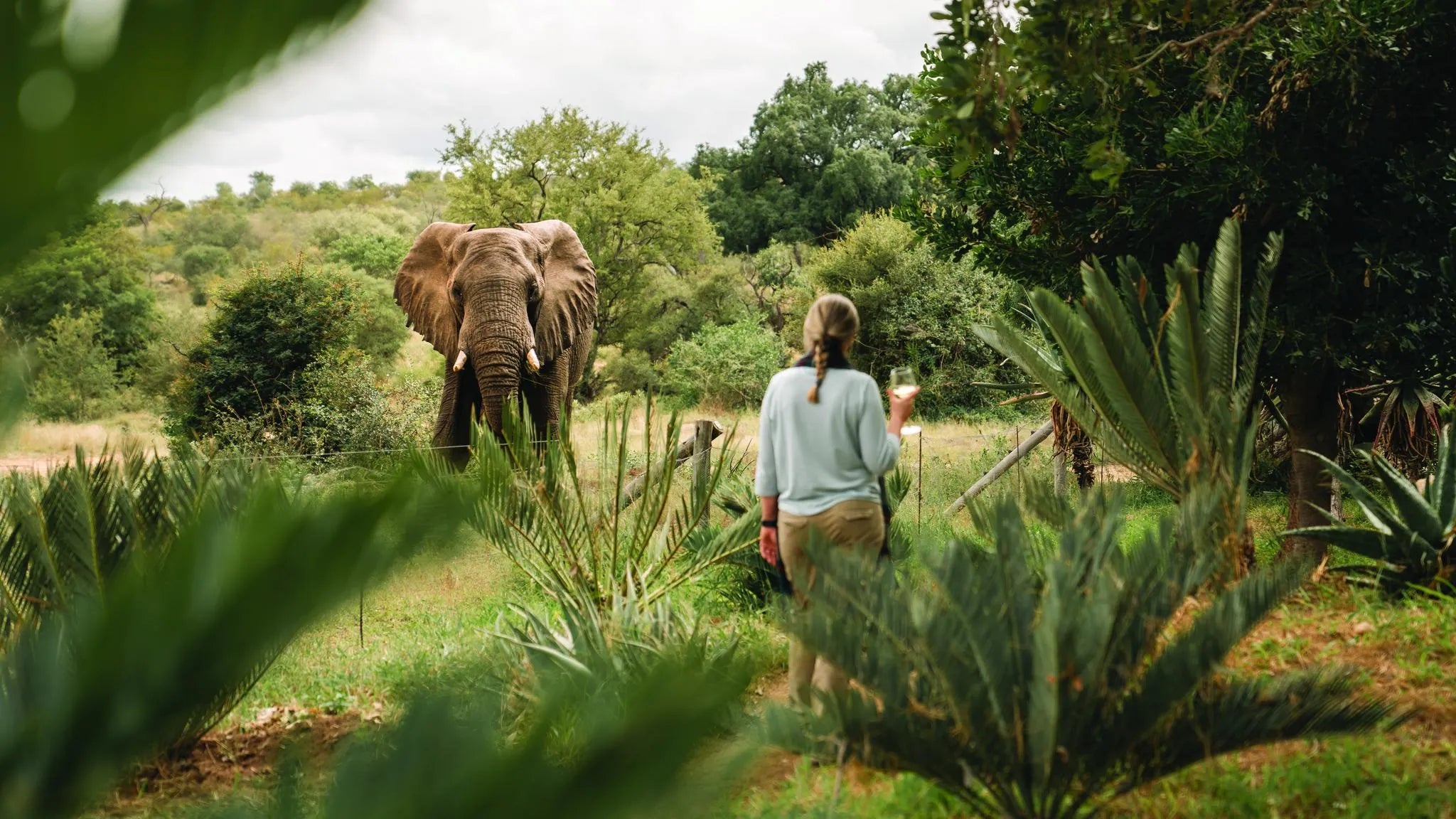 Simbavati Camp George at Simbavati Camp George, Klaserie Private Game Reserve, South Africa.