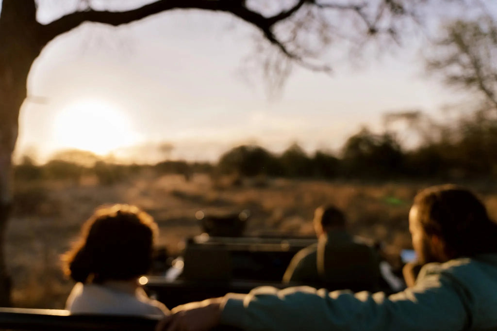 Simbavati Camp George game drive experience at Simbavati Camp George, Klaserie Private Game Reserve, South Africa.