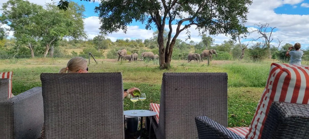 Simbavati Camp George at Simbavati Camp George, Klaserie Private Game Reserve, South Africa.