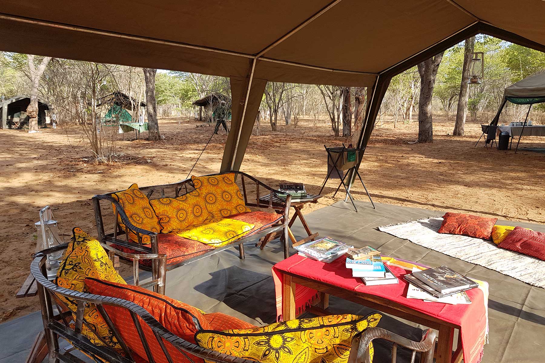 A luxury safari includes a library to relax in