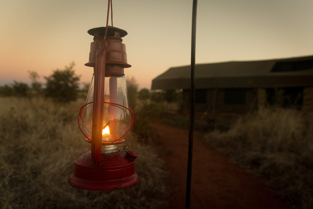 Evening Lamps