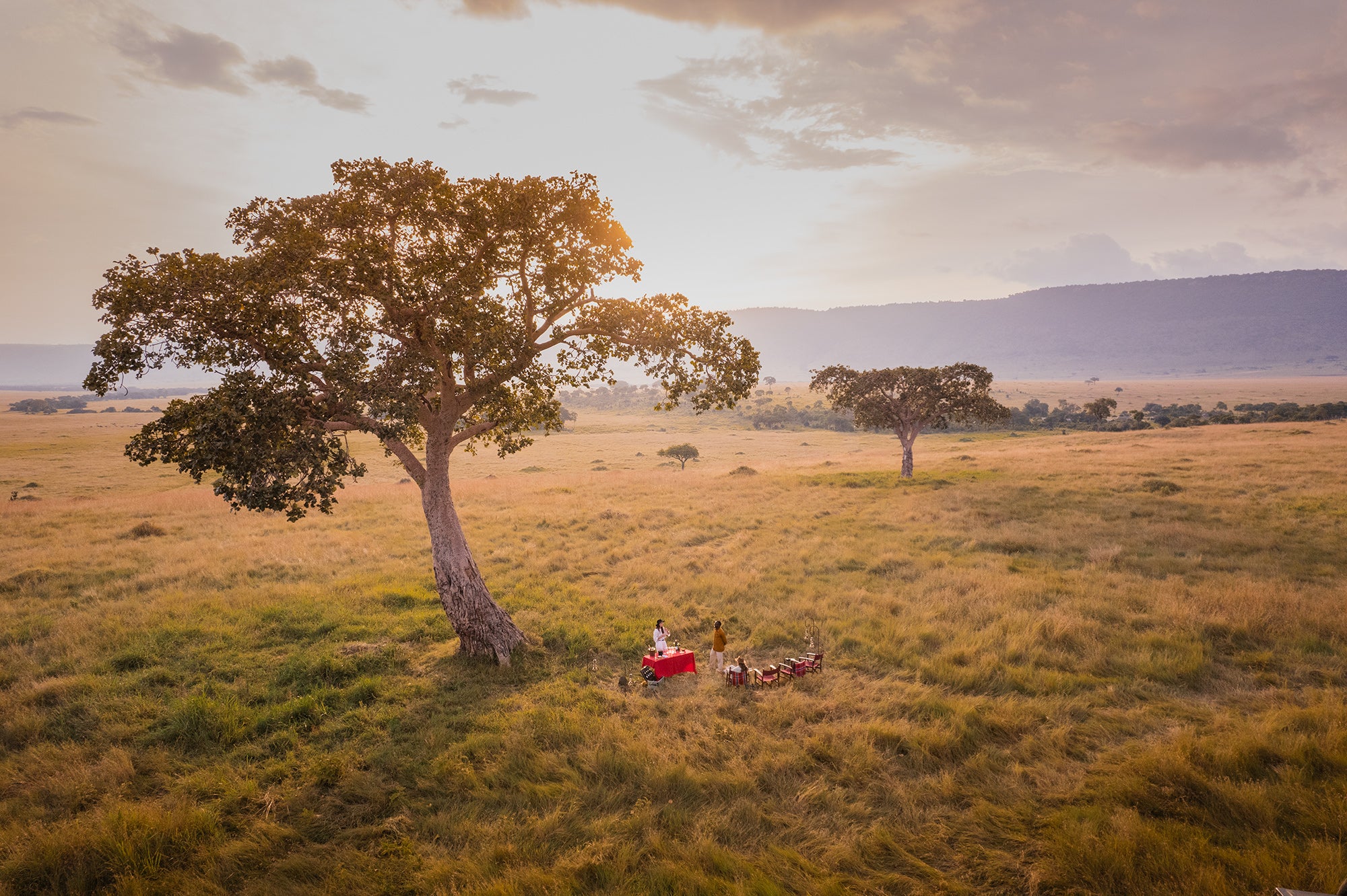 Sundowners In the Wild